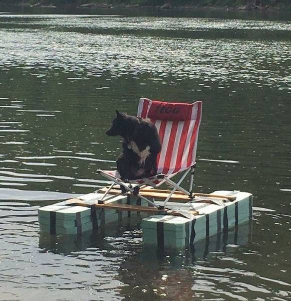 Daily Pictures. Part 1 (71 pics) Daily Pictures. Part 1 (71 pics)