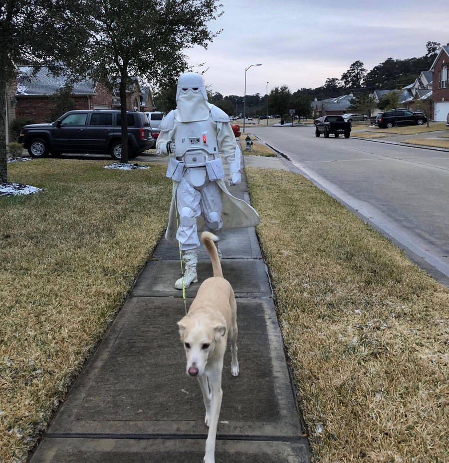 Daily Pictures. Part 1 (71 pics) Daily Pictures. Part 1 (71 pics)