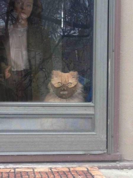 Daily Pictures. Part 2 (70 pics) Daily Pictures. Part 2 (70 pics)