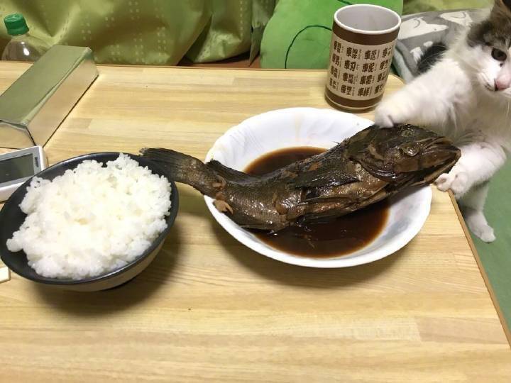 Daily Pictures. Part 1 (71 pics) Daily Pictures. Part 1 (71 pics)