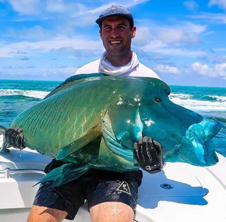 Daily Pictures. Part 1 (71 pics) Daily Pictures. Part 1 (71 pics)