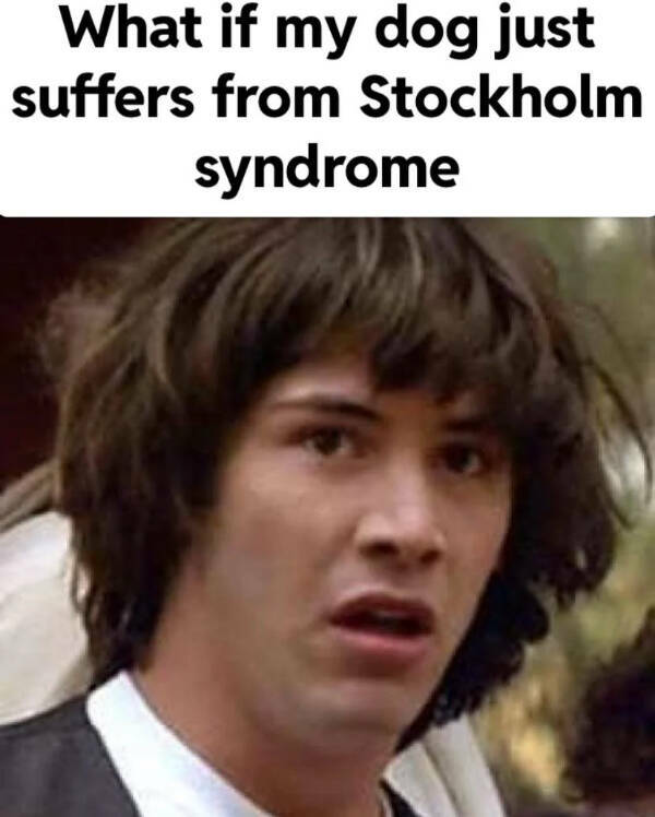 Daily Pictures. Part 2 (70 pics) Daily Pictures. Part 2 (70 pics)