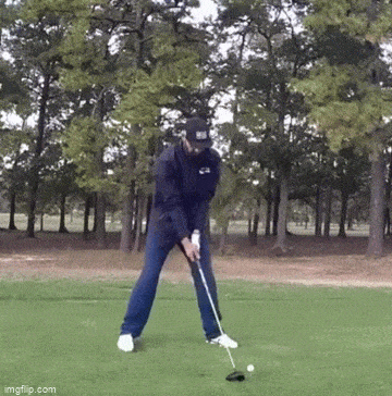 Acid GIFs, March 4 (25 gifs)