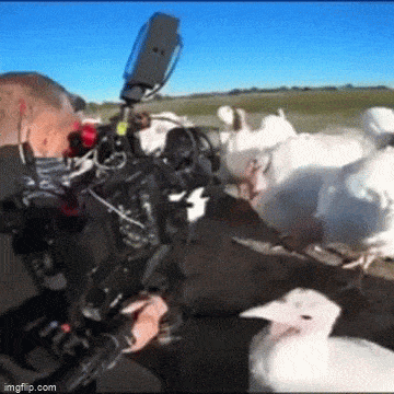 Acid GIFs, March 4 (25 gifs)