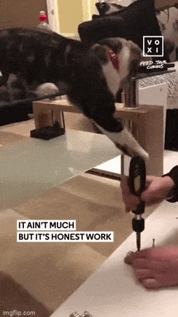 Acid GIFs, March 4 (25 gifs)