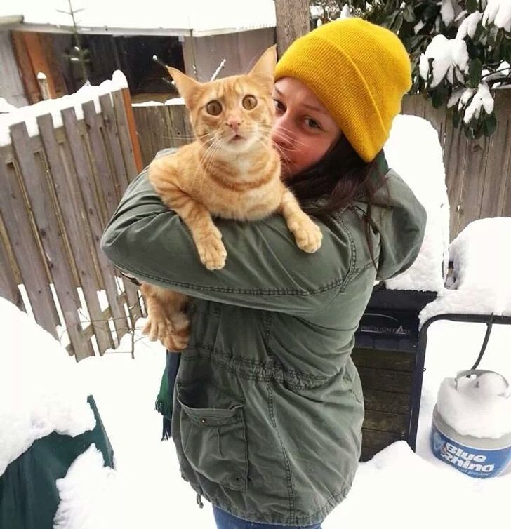 They Don't Like Winter (19 pics)