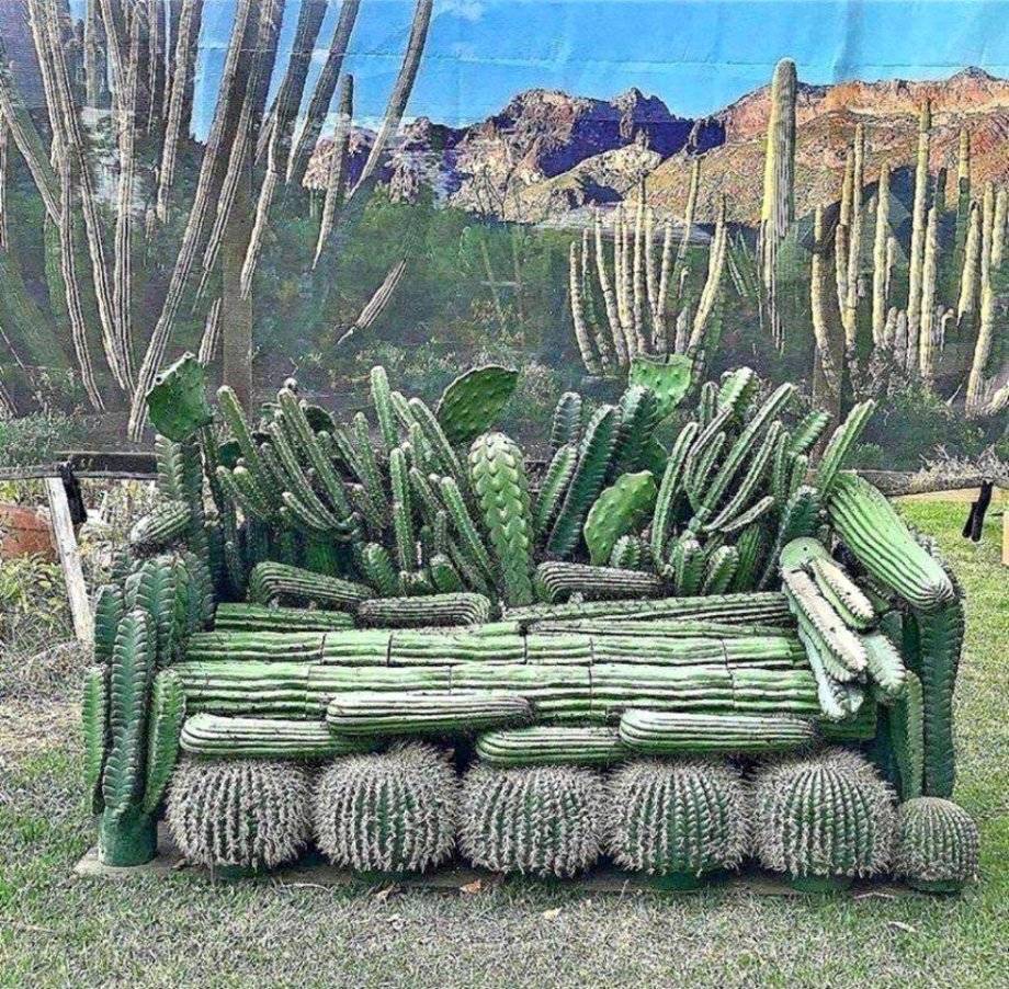 Daily Pictures. Part 1 (77 pics)