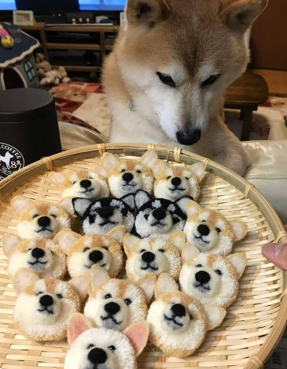 Daily Pictures. Part 1 (77 pics)