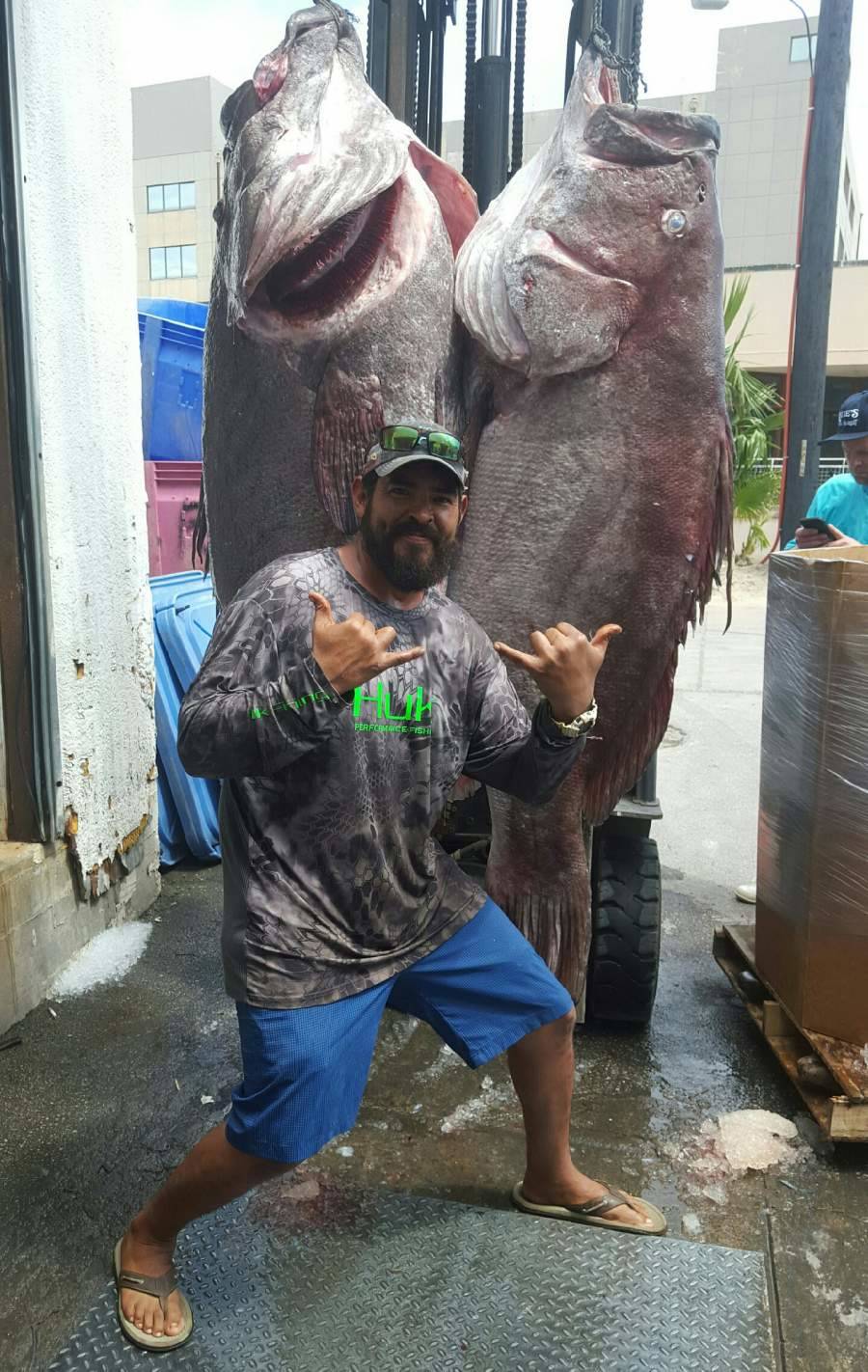 Daily Pictures. Part 1 (77 pics)