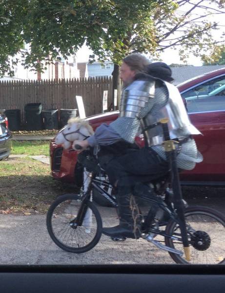 Daily Pictures. Part 1 (77 pics)