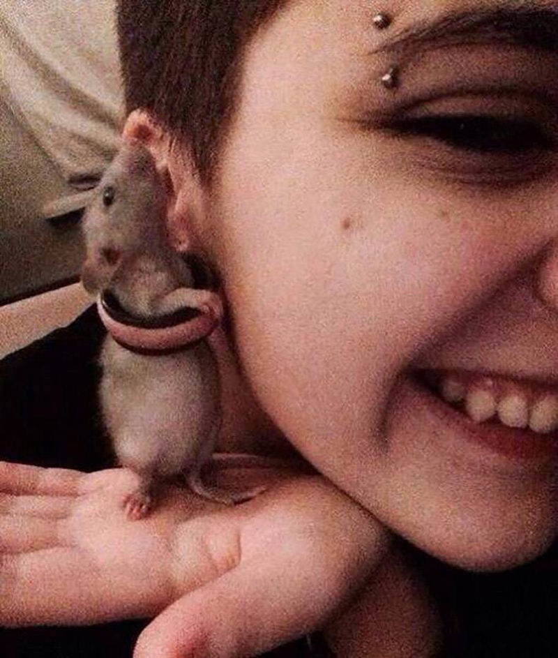 Daily Pictures. Part 1 (77 pics)