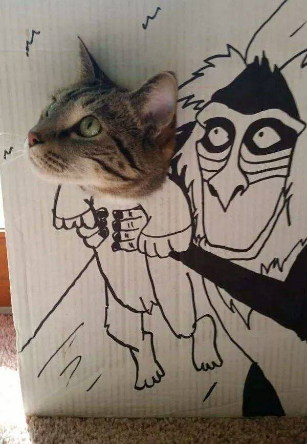 Daily Pictures. Part 1 (77 pics)