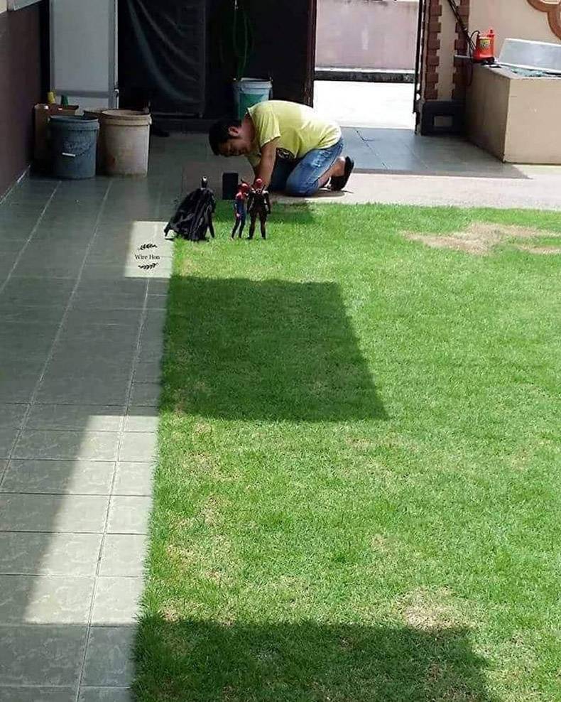 Daily Pictures. Part 1 (77 pics)