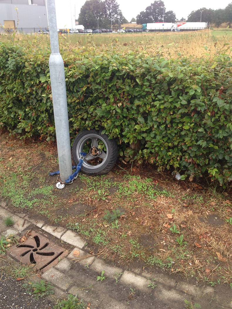 Daily Pictures. Part 1 (77 pics)