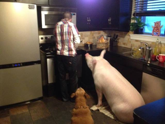 Daily Pictures. Part 1 (77 pics)