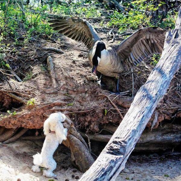 Daily Pictures. Part 1 (77 pics)