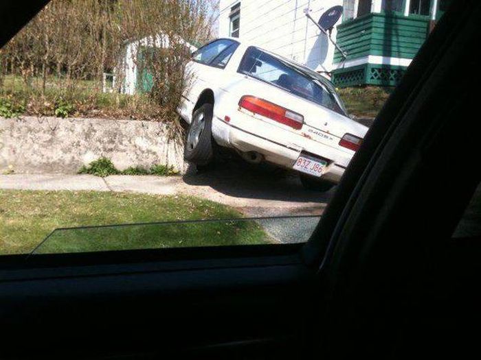 Daily Pictures. Part 1 (77 pics)