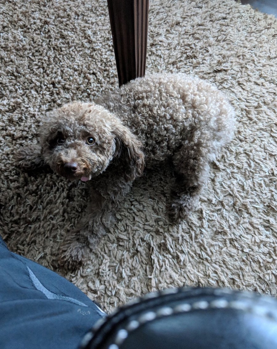 Daily Pictures. Part 2 (76 pics)