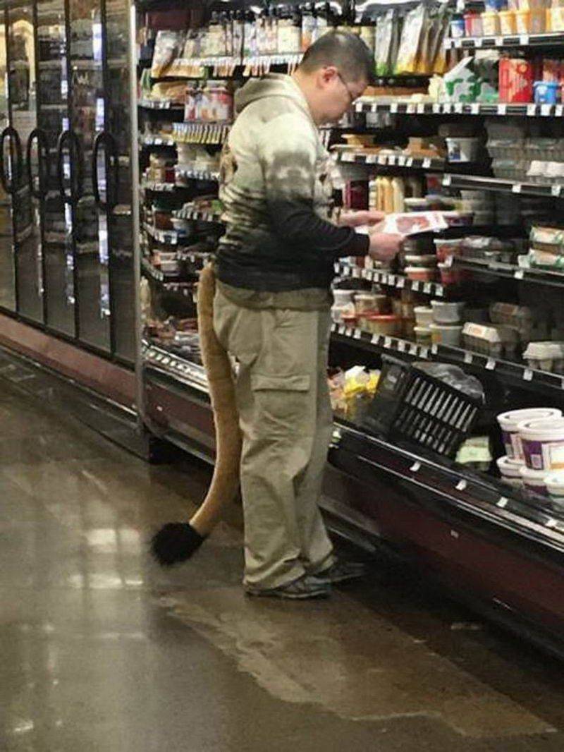 Daily Pictures. Part 2 (76 pics)