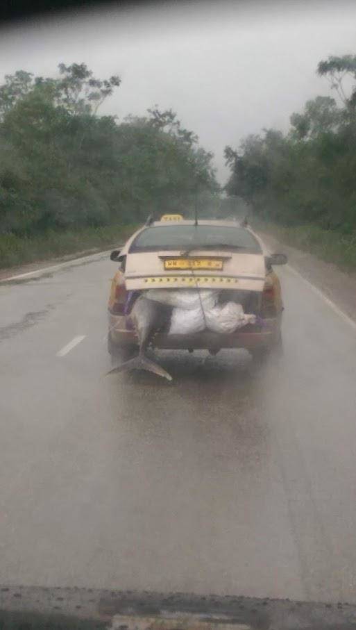 Daily Pictures. Part 1 (77 pics)