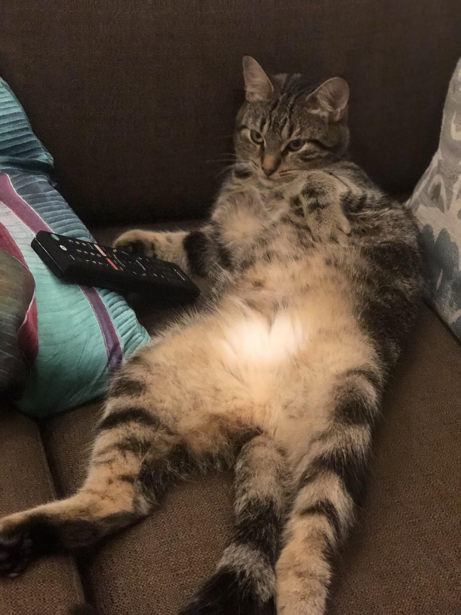 Daily Pictures. Part 2 (76 pics)