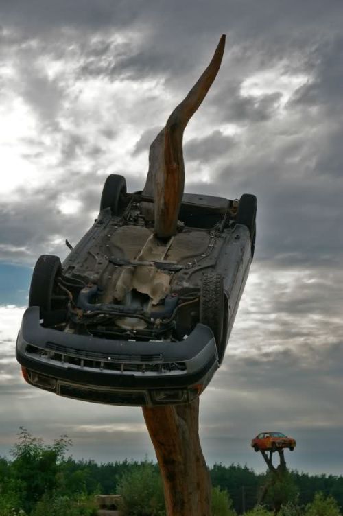 Daily Pictures. Part 1 (77 pics)