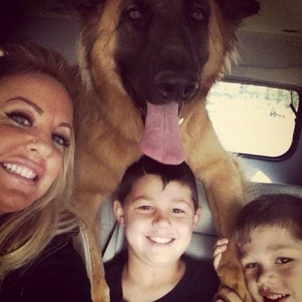 Daily Pictures. Part 1 (77 pics)