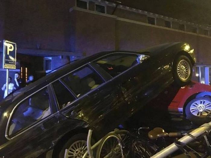 Daily Pictures. Part 1 (77 pics)