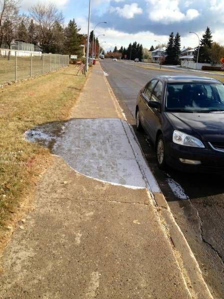 Daily Pictures. Part 1 (77 pics)