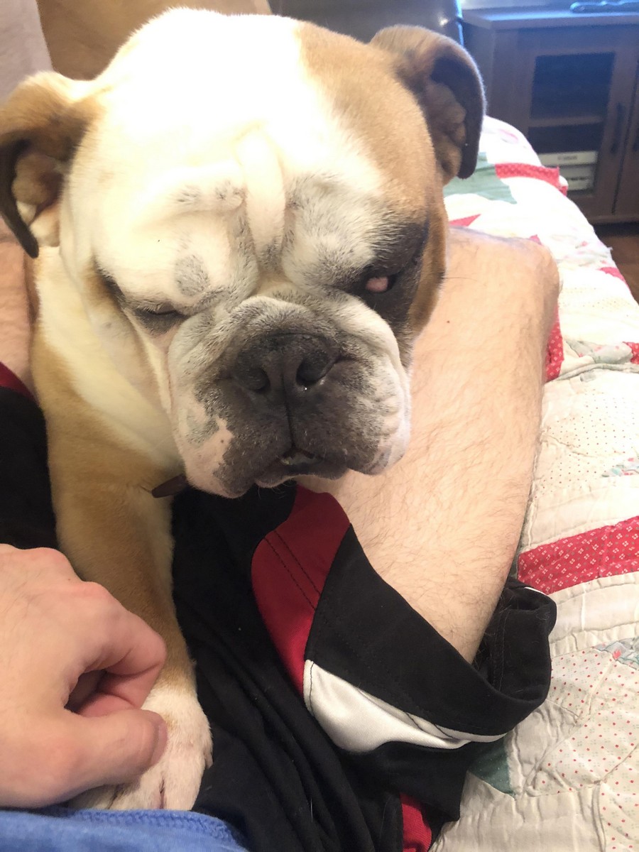 Daily Pictures. Part 2 (76 pics)