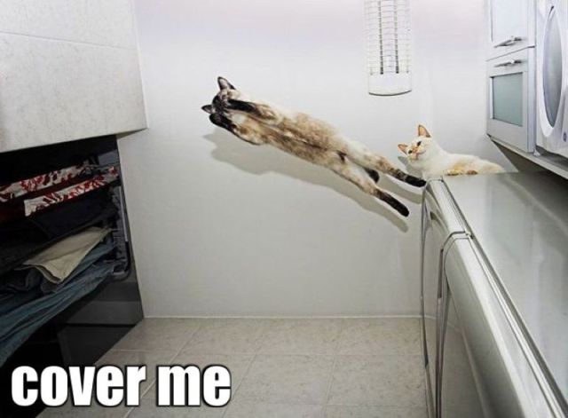 Daily Pictures. Part 2 (76 pics)