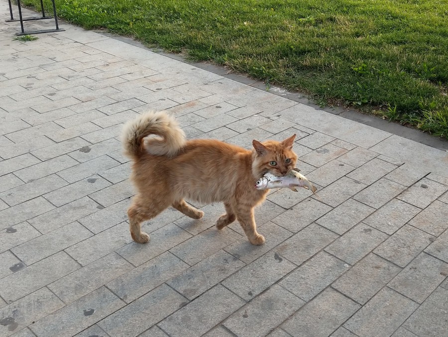 Daily Pictures. Part 2 (76 pics)