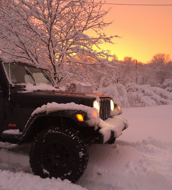 Daily Pictures. Part 2 (76 pics)