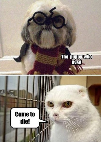 Daily Pictures. Part 2 (76 pics)