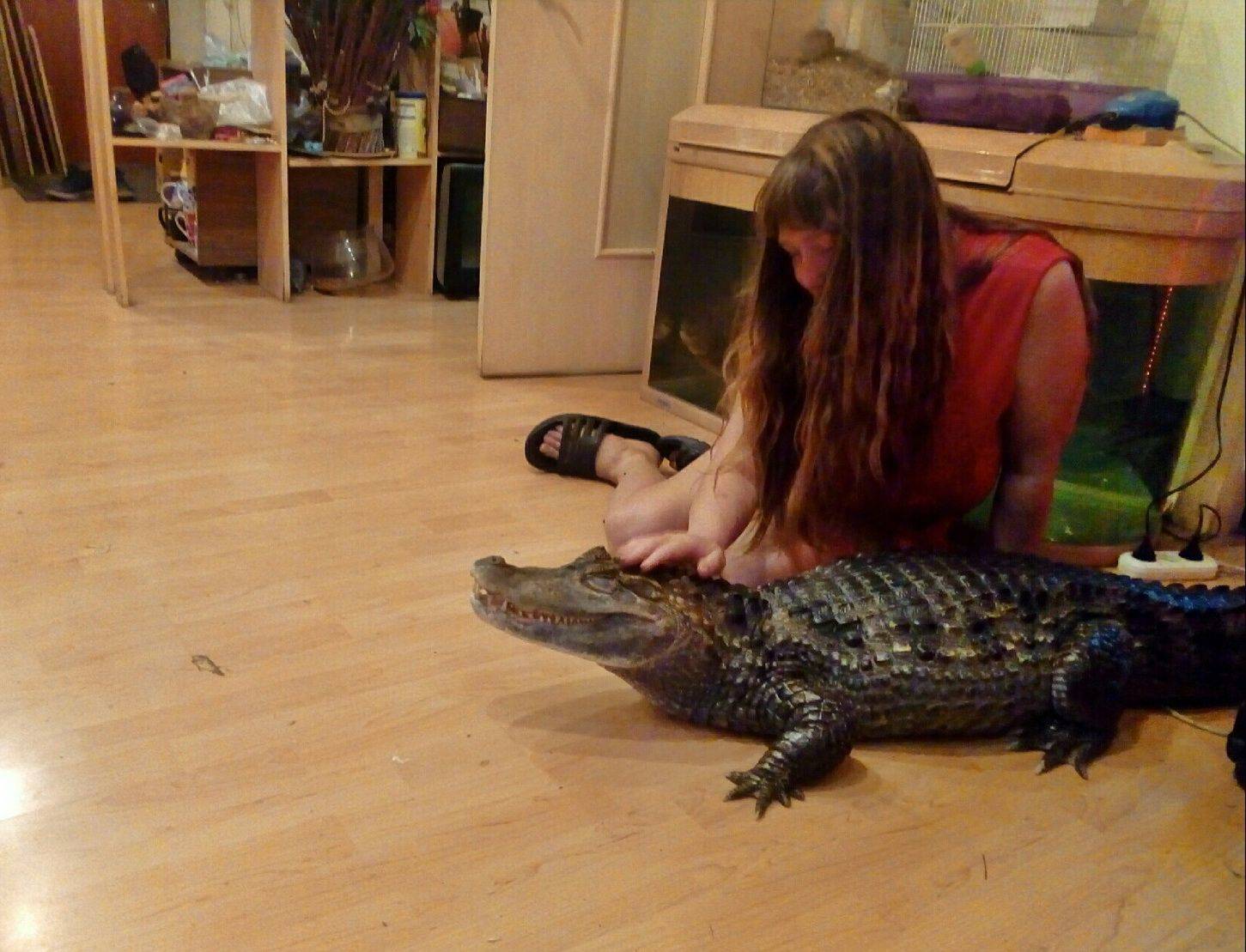 Daily Pictures. Part 2 (76 pics)