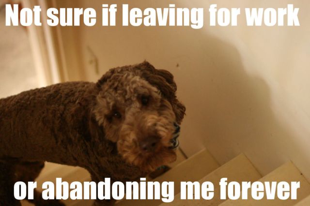 Daily Pictures. Part 2 (76 pics)