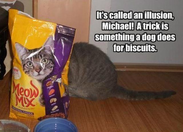 Daily Pictures. Part 2 (76 pics)