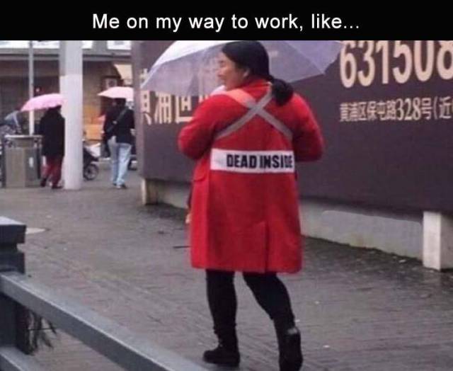 Daily Pictures. Part 2 (76 pics)