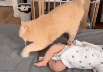 Acid GIFs, March 5 (25 gifs)