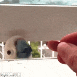 Acid GIFs, March 5 (25 gifs)
