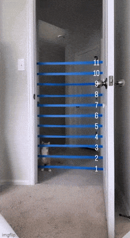 Acid GIFs, March 5 (25 gifs)