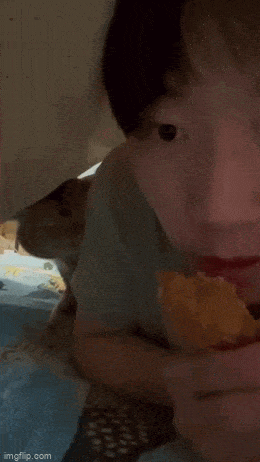 Acid GIFs, March 5 (25 gifs)