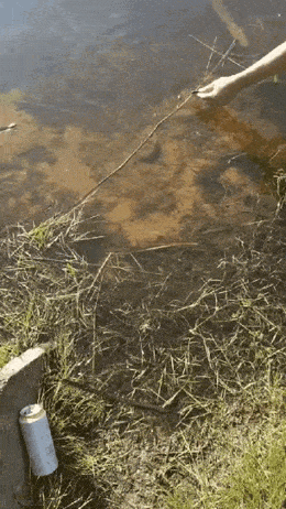 Acid GIFs, March 5 (25 gifs)