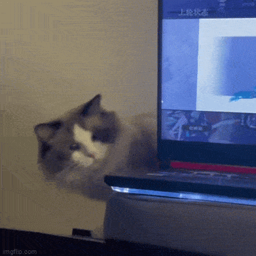 Acid GIFs, March 5 (25 gifs)