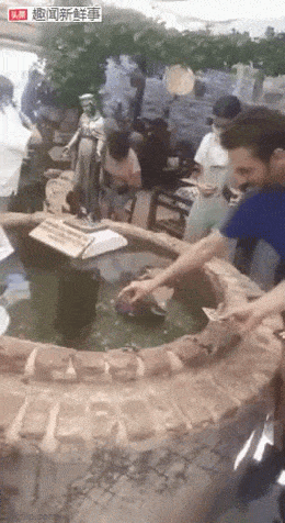 Acid GIFs, March 5 (25 gifs)