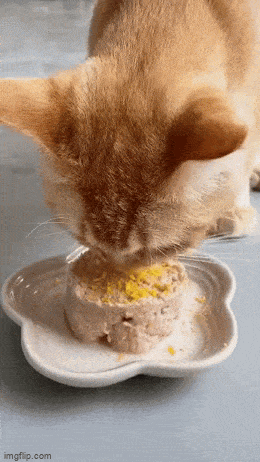 Acid GIFs, March 5 (25 gifs)
