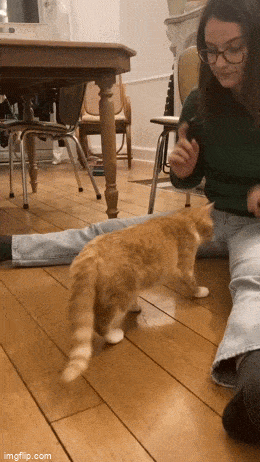 Acid GIFs, March 5 (25 gifs)