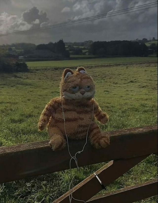 Strange Finds And Situations (42 pics)