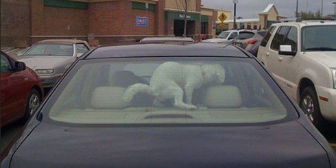 Bad Days Happen (23 pics)