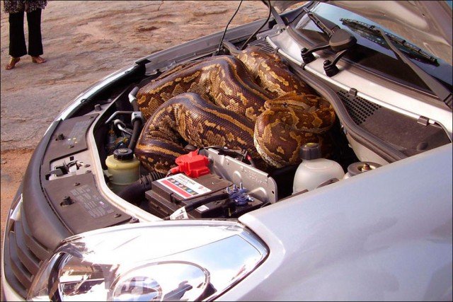 Bad Days Happen (23 pics)